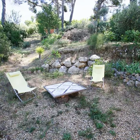 La Pinede Penchee Ollioules