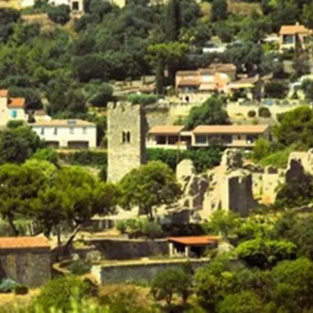 Vakantiehuis La Pinede Penchee 5km Du Bord De *